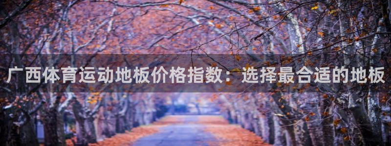 球王会体育：广西体育运动地板价格指数：选择最合适的地板