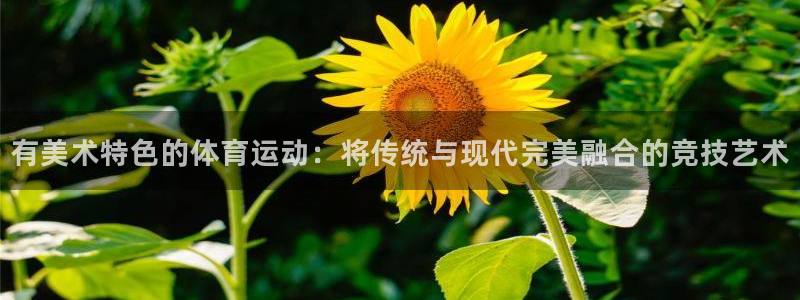 球王会体育：有美术特色的体育运动：将传统与现代完美融合的竞技艺术
