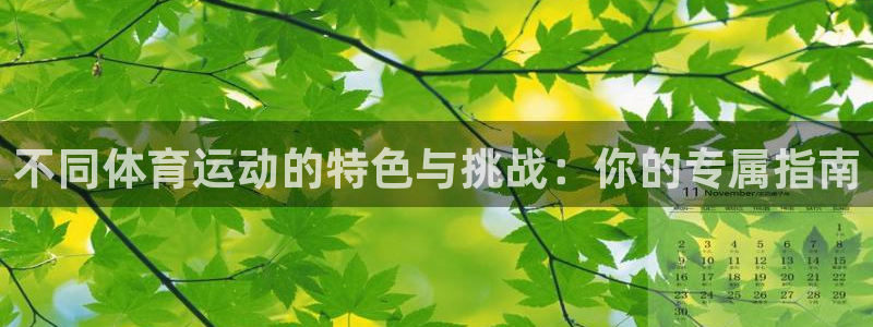 球王会体育：不同体育运动的特色与挑战：你的专属指南