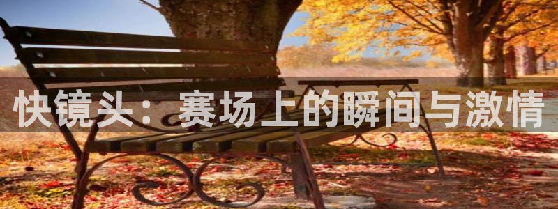 球王会体育：快镜头：赛场上的瞬间与激情