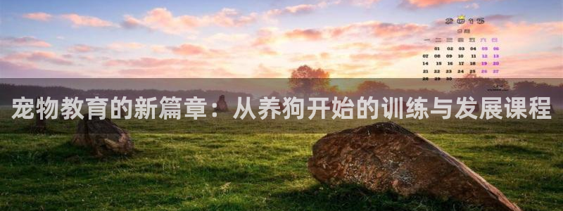 球王会体育：宠物教育的新篇章：从养狗开始的训练与发展课程