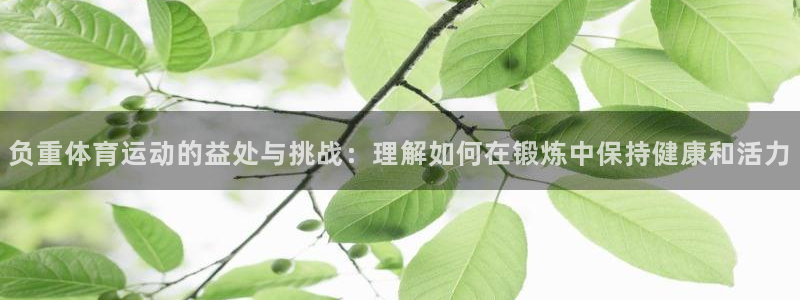 球王会体育：负重体育运动的益处与挑战：理解如何在锻炼中保持健康和活力