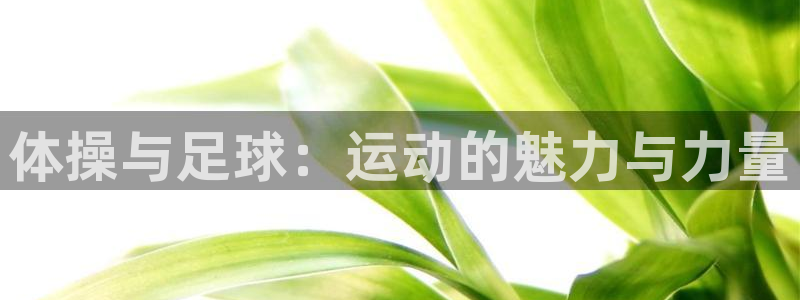 球王会体育：体操与足球：运动的魅力与力量