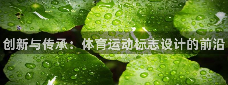 球王会体育：创新与传承：体育运动标志设计的前沿