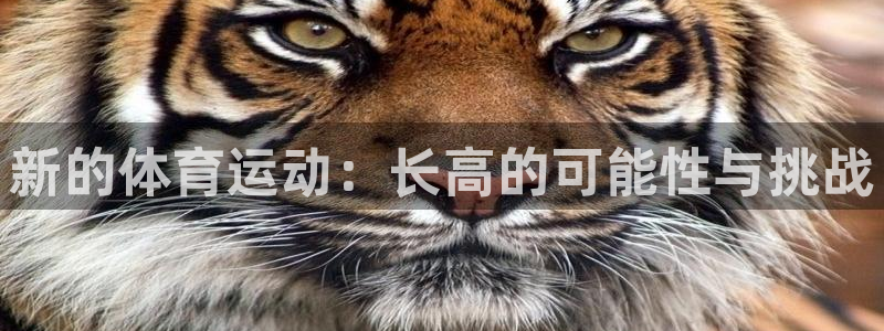 球王会体育：新的体育运动：长高的可能性与挑战