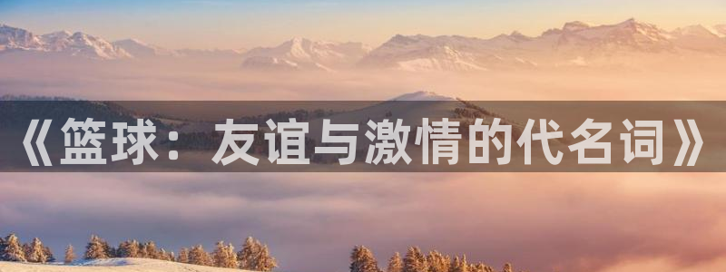 球王会体育：《篮球：友谊与激情的代名词》